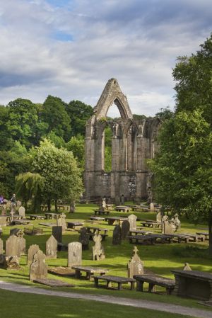 bolton abbey june 2017 5 sm.jpg